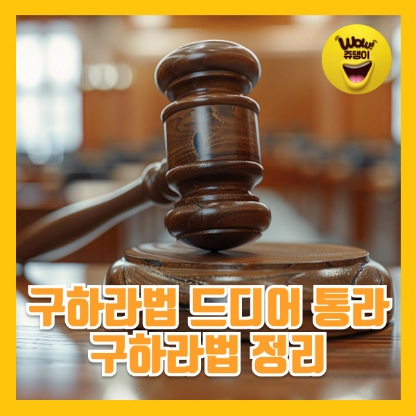 구하라법이란 구하라법 통과 내용 구하라법발의