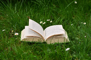 영상 콘텐츠가 독서에 미친 영향: 대중화된 독서의 미래