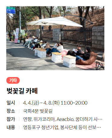 여의도 벚꽃 축제