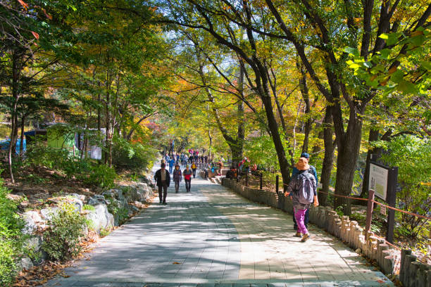 북서울꿈의숲 대체 사진