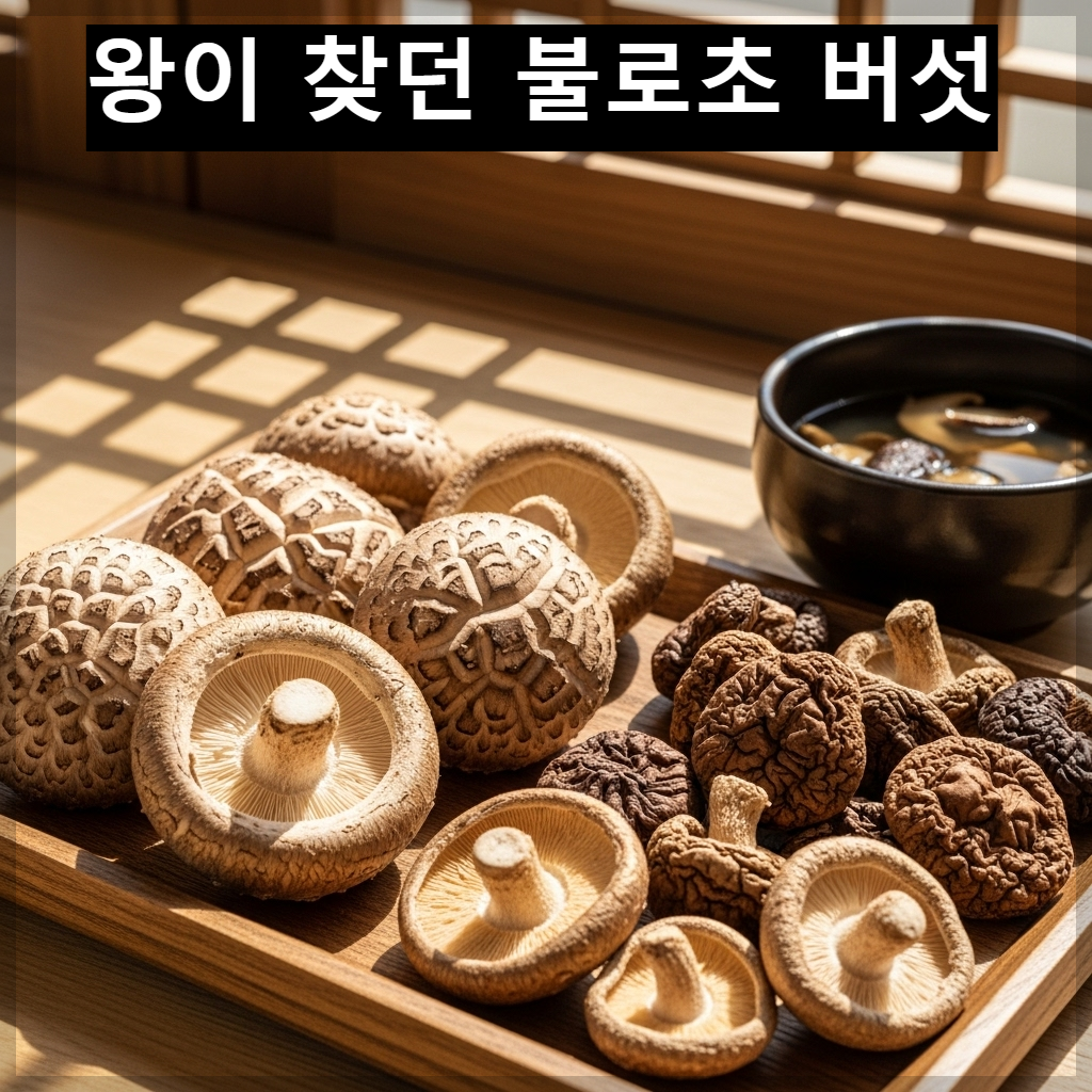 햇볕이 잘 드는 한국 전통 한옥 마루 위에 정갈하게 말려지고 있는 신선한 표고버섯들과 이를 우려낸 진한 버섯차 한 잔의 평화로운 풍경
