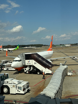 제주항공-비행기-찜특가