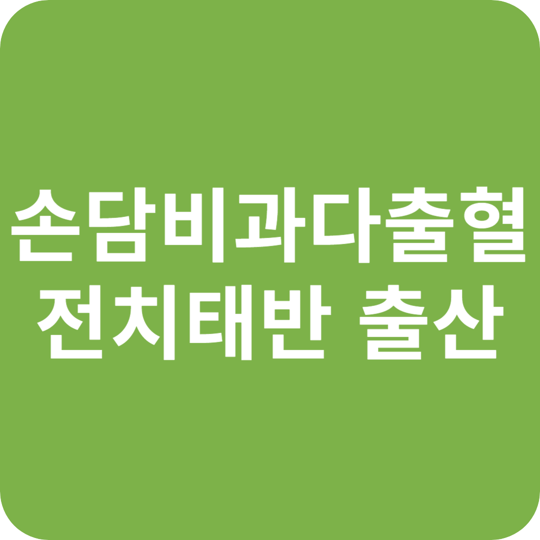 손담비 과다출혈, 전치태반 출산