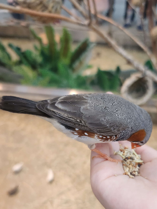 주렁주렁 동탄점 운영시간, 주차, 가격 안내