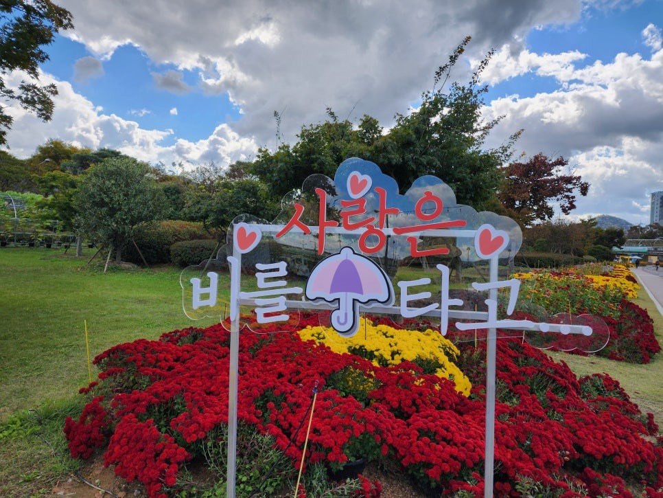 장성 황룡강 가을꽃축제 2025, 가수, 기본정보, 리뷰, 라인업, 개막식, 초대가수, 주차, 후기