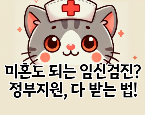 비혼·미혼도 OK! 임신 전 무료 건강검진, 정부지원 완전정복