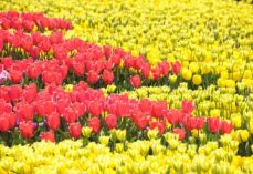 태안에서 한달살이