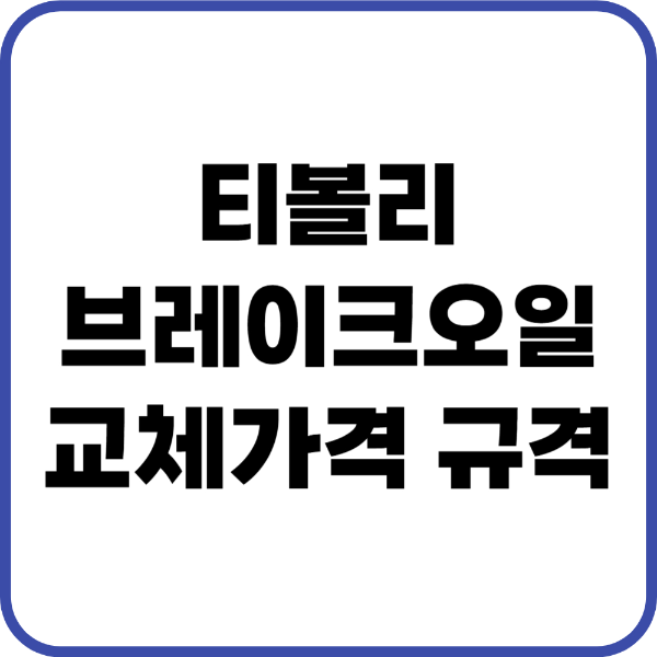 티볼리 브레이크오일
