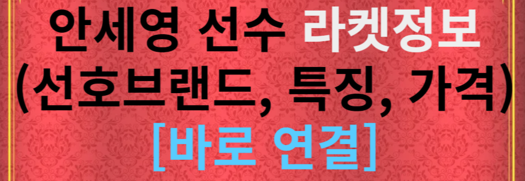 안세영 선수 금메달리스트 배드민턴 라켓