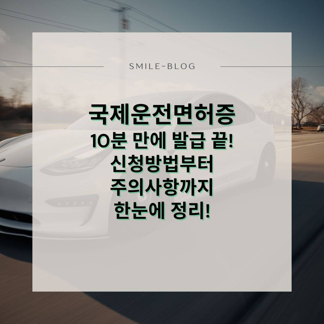 국제운전면허증 발급 방법 2025년 기준 완전정리 – 현장 vs 온라인 차이까지!