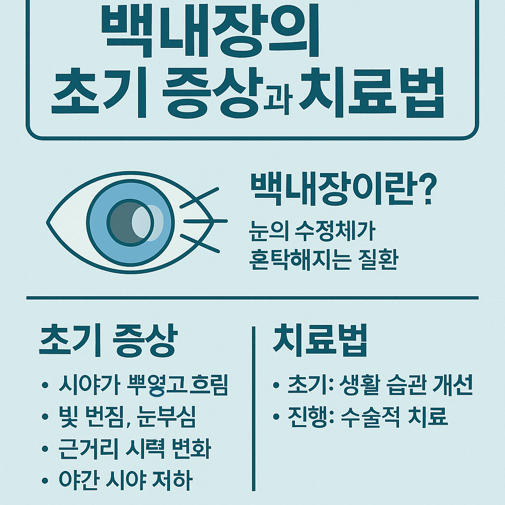 백내장의 초기 증상과 치료법을 요약한 한국어 건강 인포그래픽 이미지