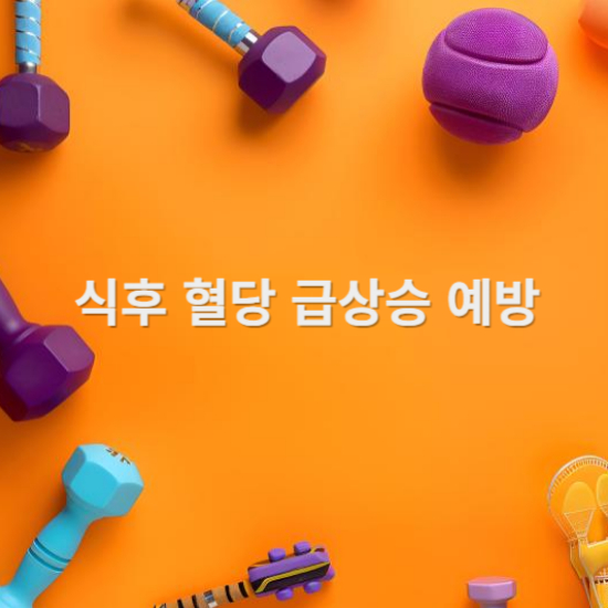 식후 혈당 급상승 예방 헬스도구