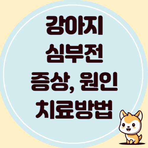 강아지 심부전 원인, 증상, 치료 방법