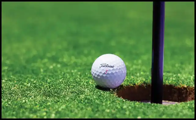 파크골프 용어 정리 (+ 해설 )