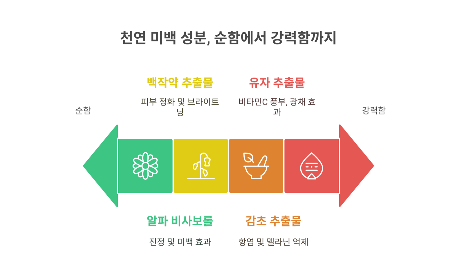 천연 유래 미백 성분 추천 리스트