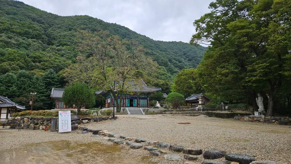 양평 사나사 : 용문산 천년 고찰이 품은 고요한 수행과 자연의 시간