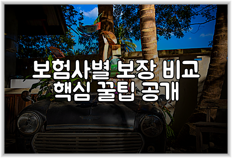 보험사별 보장 비교 핵심 꿀팁 공개