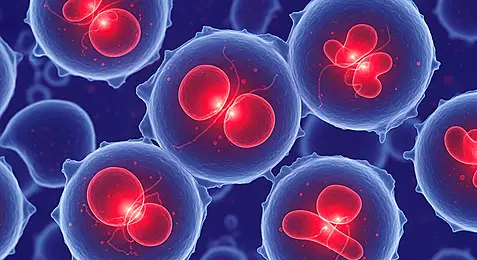 세포 재생 이미지