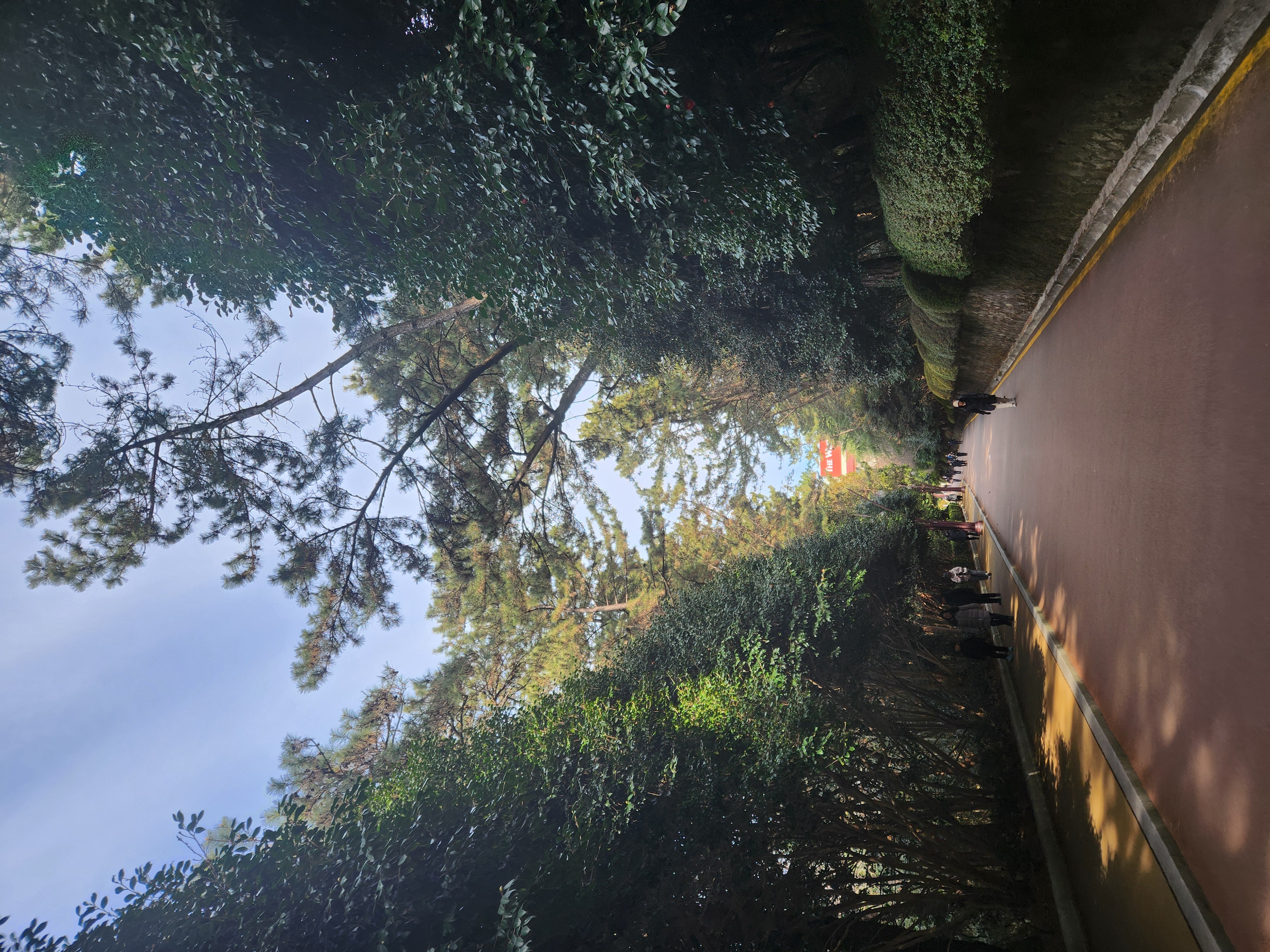 etc-image-27