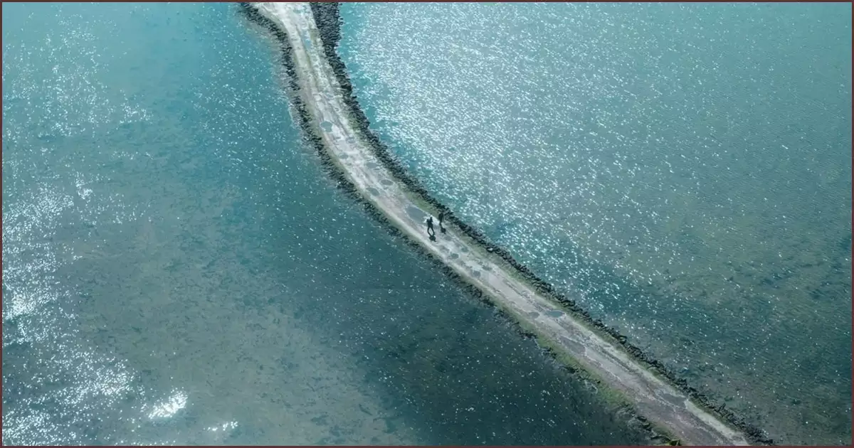 감염자들이 사는 본토와 생존자들의 섬을 연결하는 통로