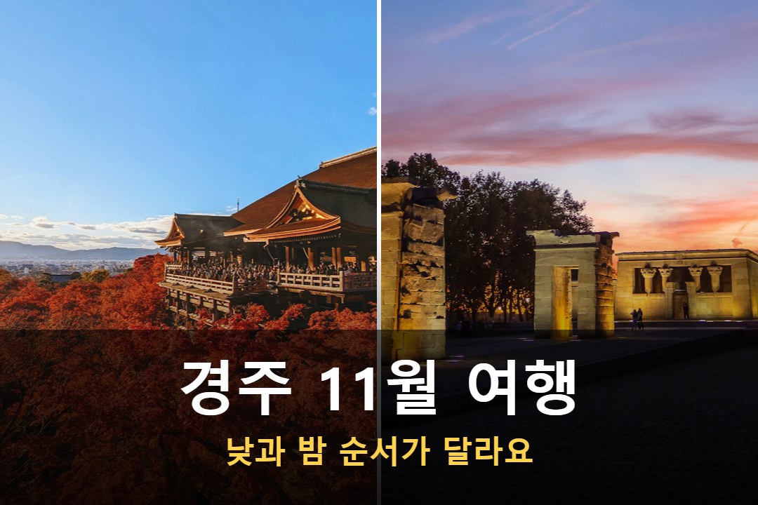 경주 여행 11월 가을 고택 지붕과 단풍