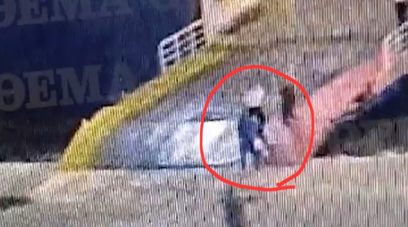 '블루 호라이즌' 승객이 승무원에게 떠밀려 바다에 빠진 영상이 온라인에서 공유되고 있다 [사진=온라인 커뮤니티]