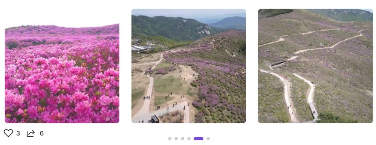 황매산-철쭉제-사진