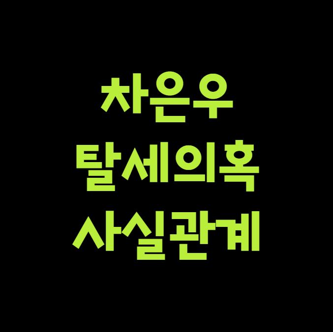 차은우 탈세 의혹 사실관계