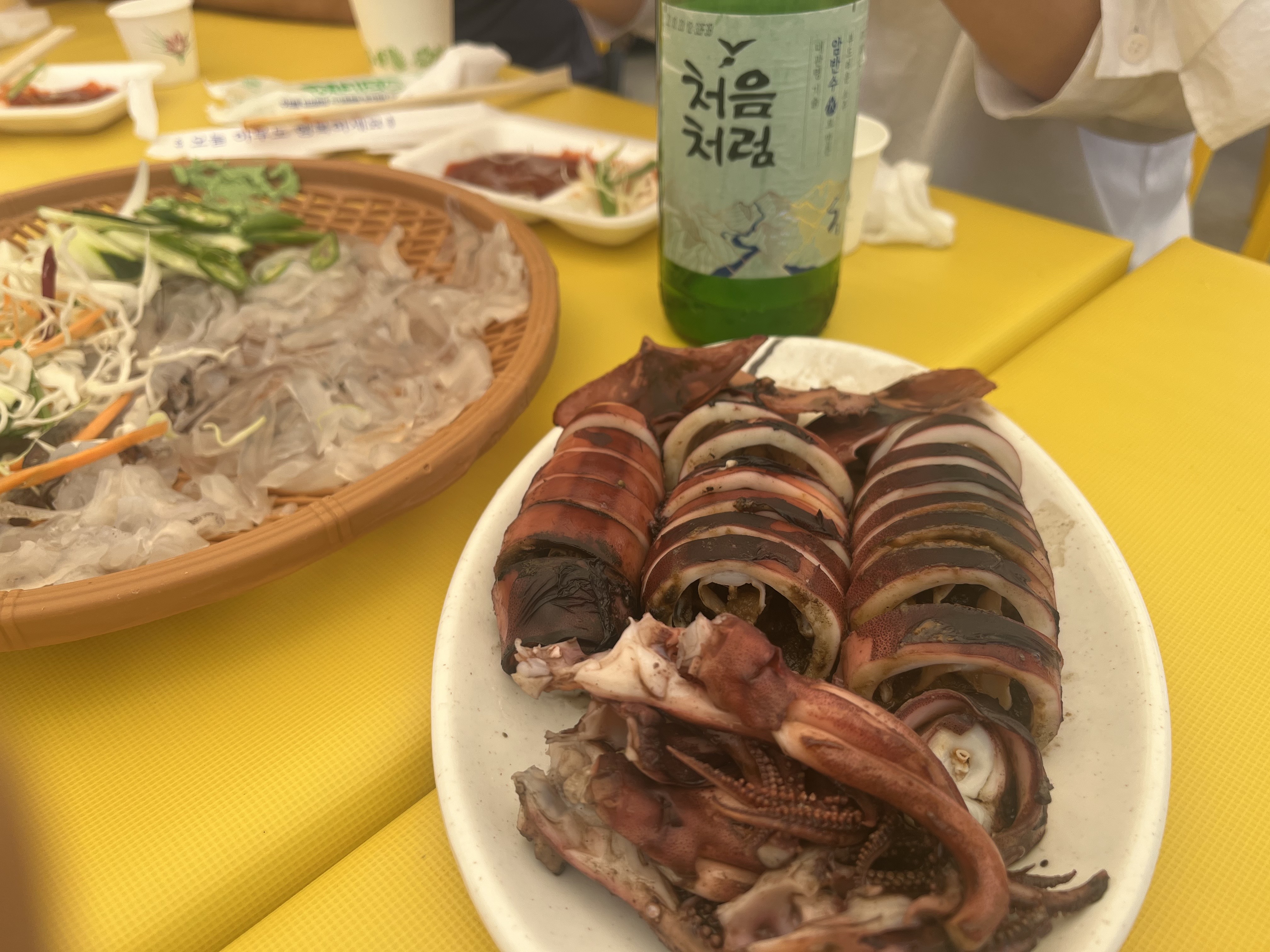 강원도 고성 여행 데이트