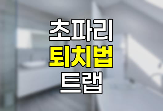 초파리 퇴치법, 원인, 제거 방법, 트랩 제작 상세 가이드