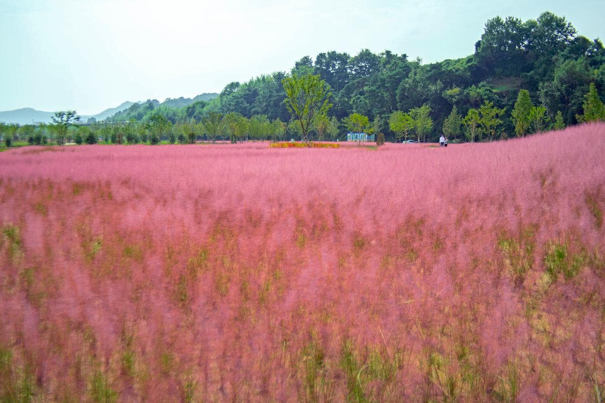 [경남 합천 여행]합천의 소소한 힐링 스폿 3곳, 여행 코스 추천