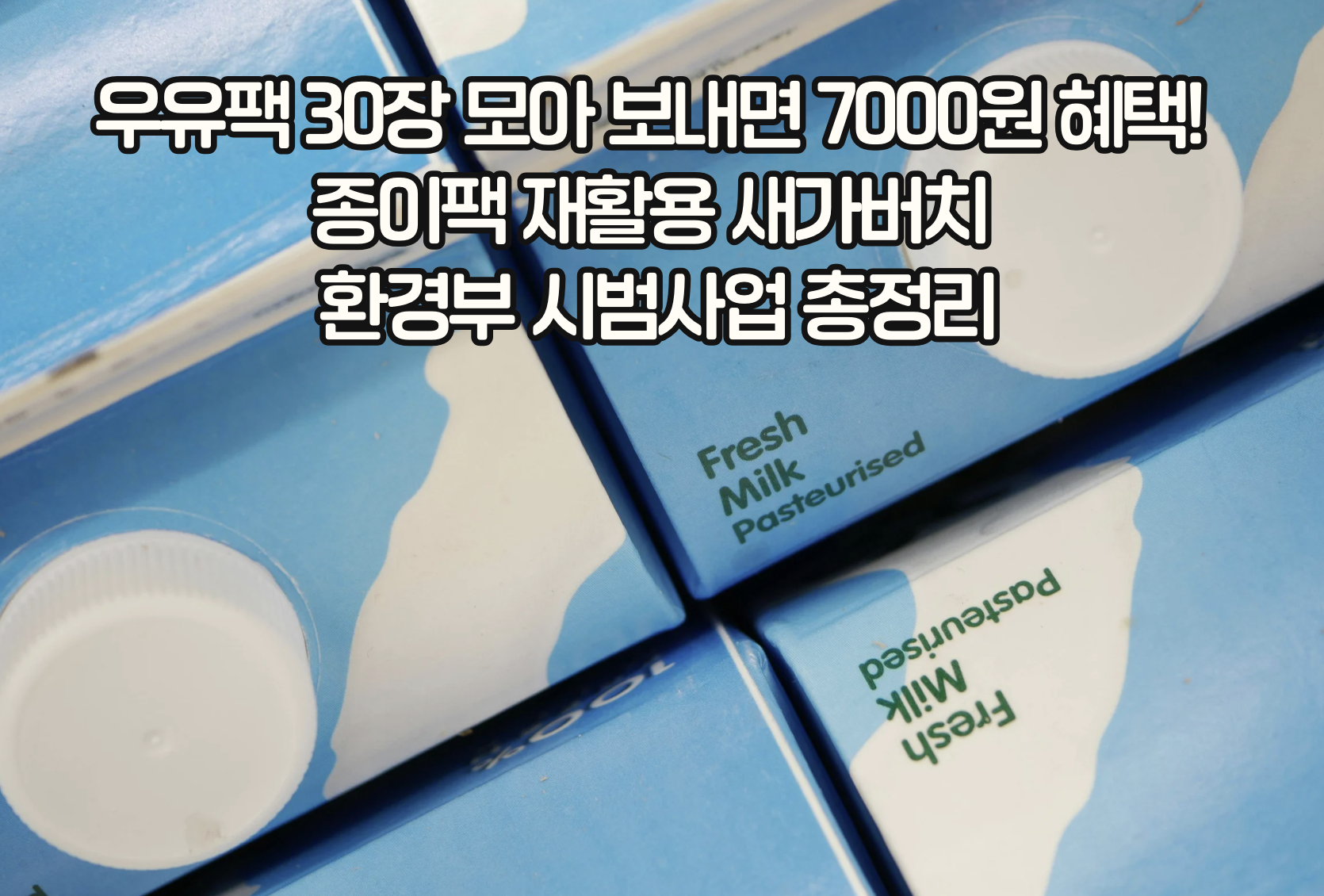 우유팩 30장 모아 보내면 7000원 혜택! 종이팩 재활용 새가버치 환경부 시범사업 총정리