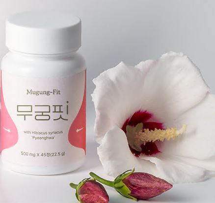 무궁화다이어트-가격