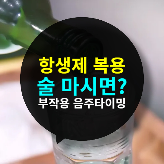 항생제 복용 후 술 마시면? 부작용과 안전한 음주 타이밍 알아보기