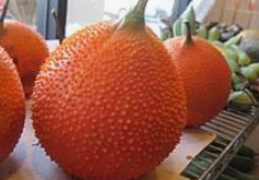 고지혈증 약 장기 복용 시 부작용