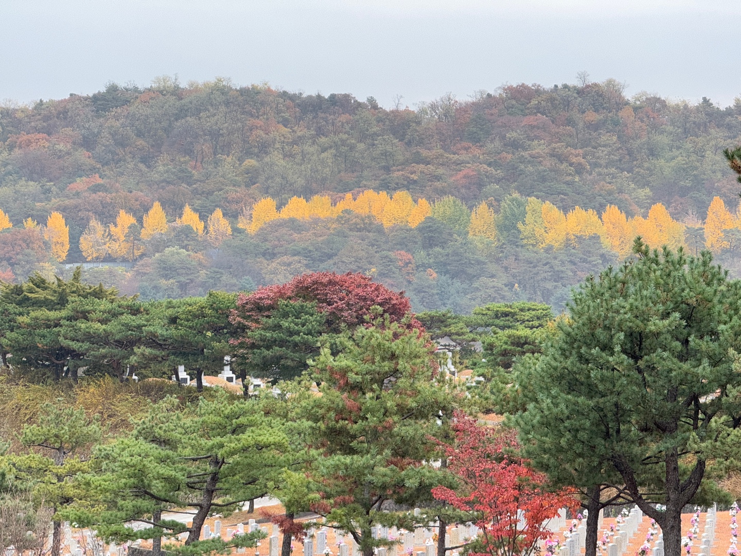국립현충원
