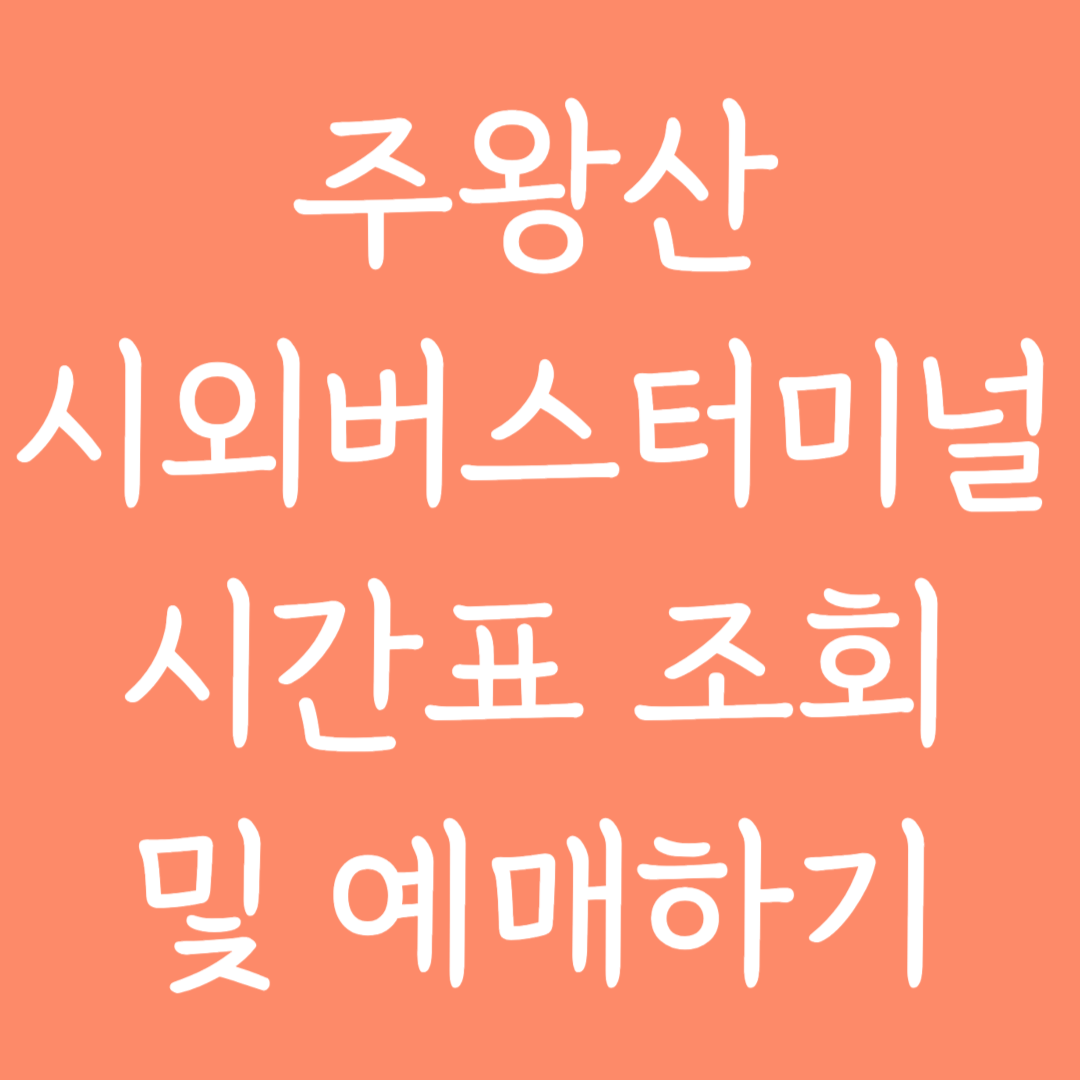 주왕산 시외버스터미널 시간표조회 및 예매하기