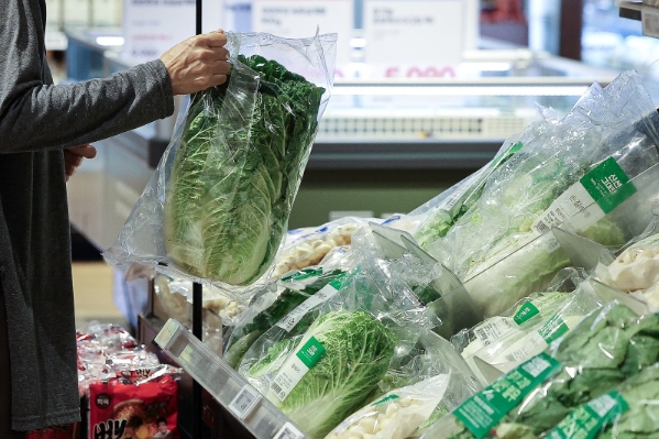 걱정 없는 2024년 김장 준비