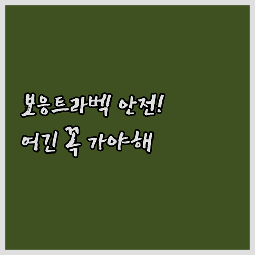 캄보디아 프놈펜 보응트라벡 여행 안전..