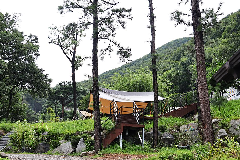 경기도 용인 자연숲 캠핑장 소개