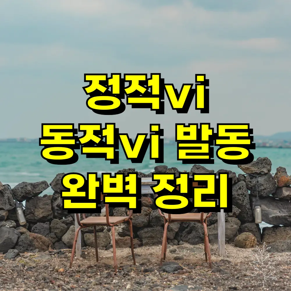 정적vi 동적vi 발동