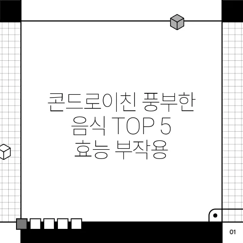 콘드로이친 풍부한 음식 TOP 5 효능 부작용