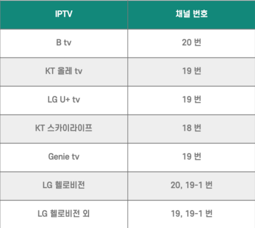 대한민국 VS 팔레스타인 축구 무료 생중계