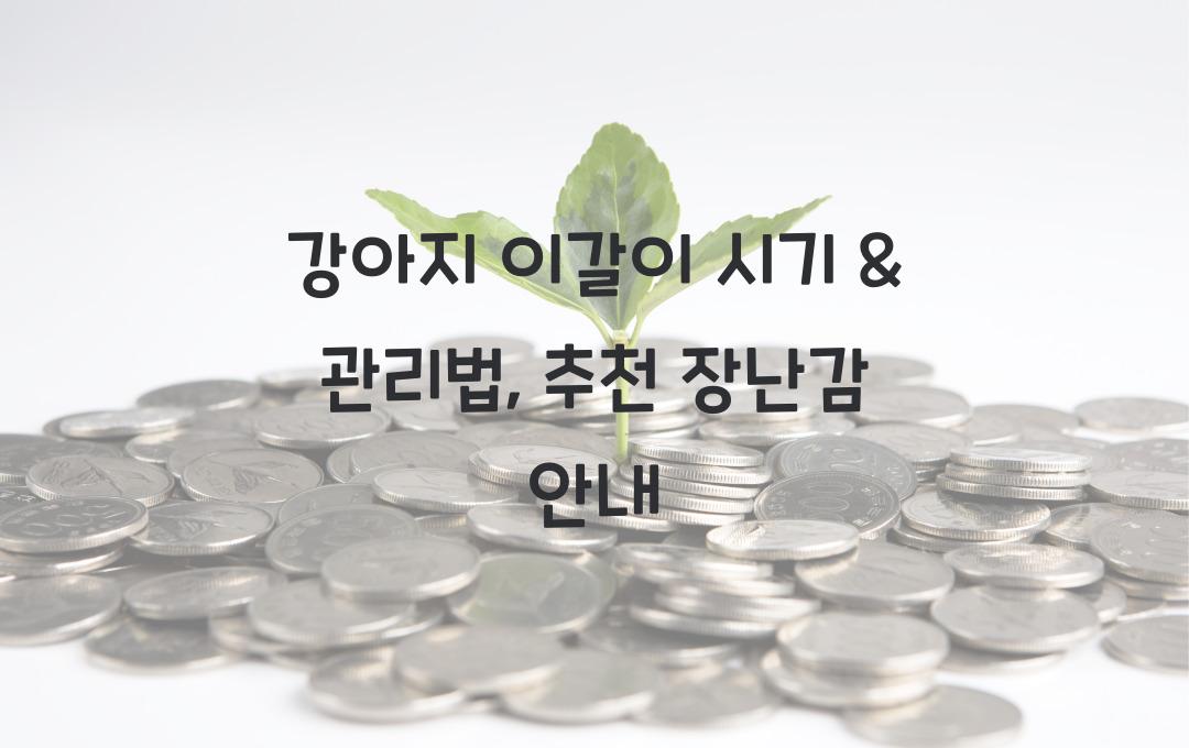 강아지 이갈이 시기 & 관리법, 씹어도 되는 장난감 추천