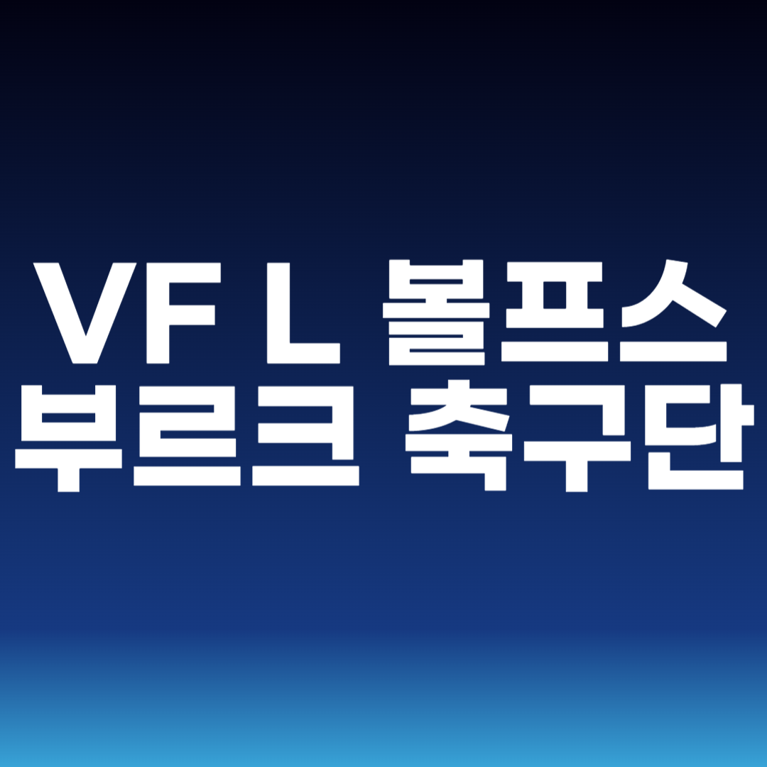 VF L 볼프스부르크 축구단