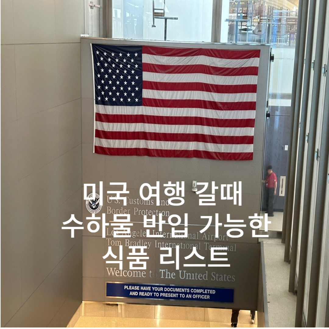 미국 여행시 수하물 반입 가능한 식품 리스트