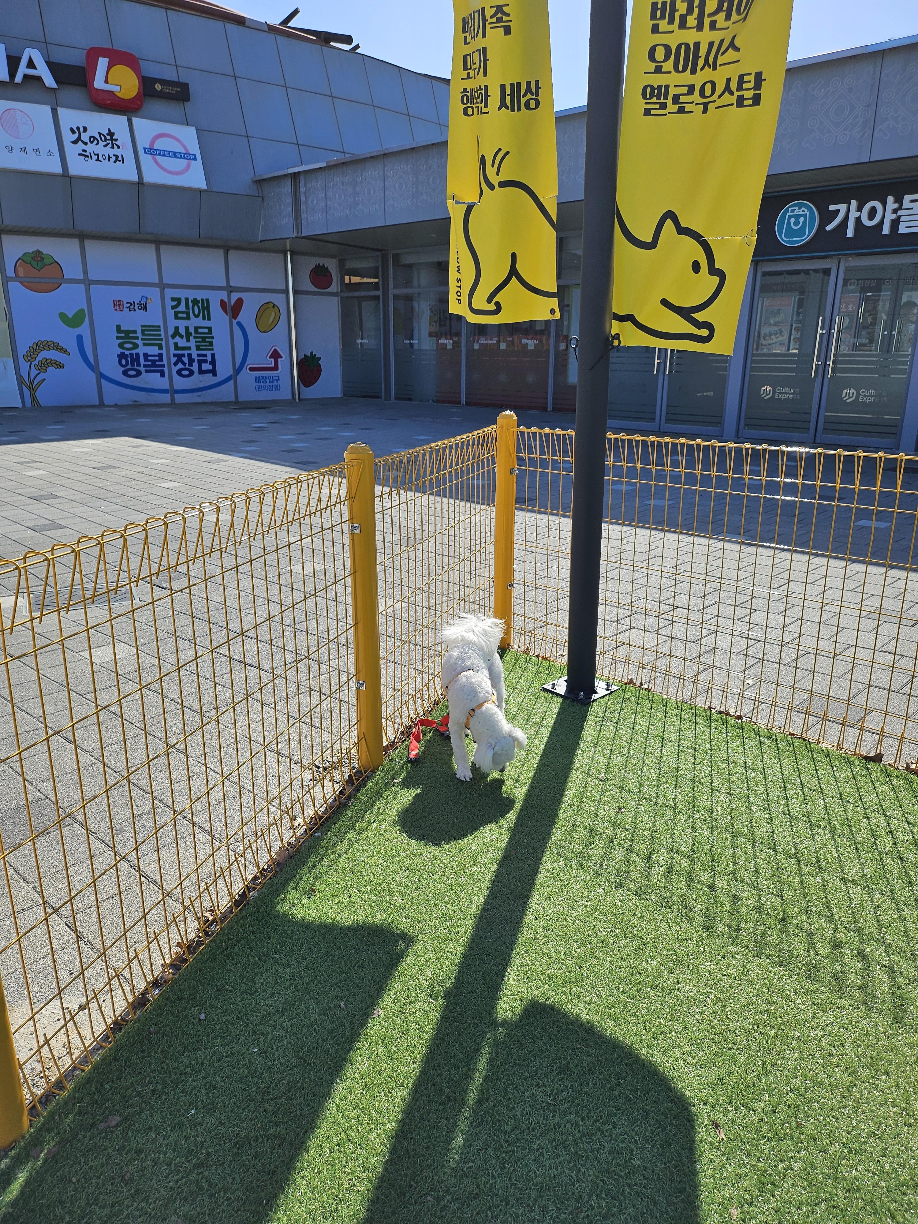 진영휴게소 부산방향 반려견 공원