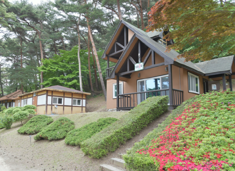 안면도자연휴양림