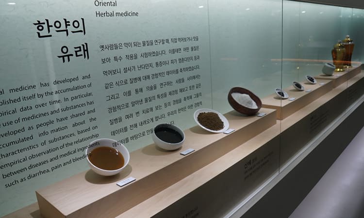 영천한의마을