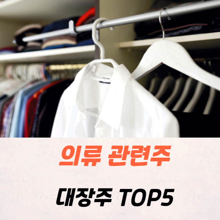 의류 관련주 대장주 수혜주 테마주 TOP5